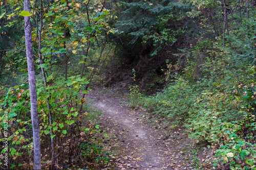 Callahan Creek Trail