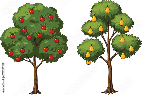 Illustration of apple tree with red fruits, pear tree with yellow pears, orchard plants, natural agriculture, organic fruit, healthy food design