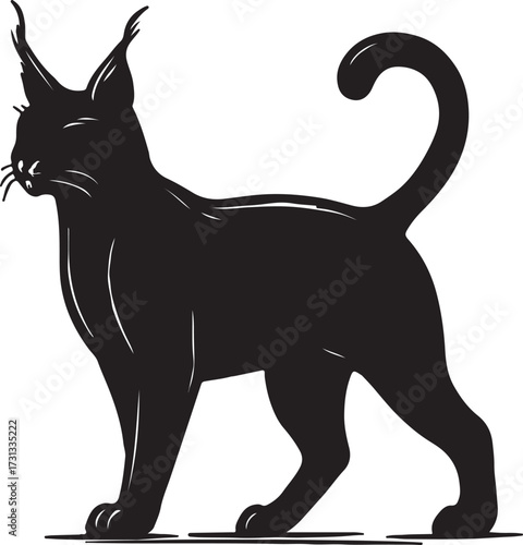 Silhouette of a sleek black cat with a curled tail standing alertly on a white background