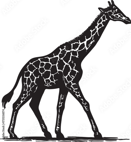 Detailed black and white illustration of a walking giraffe with distinctive patterned coat against a white background