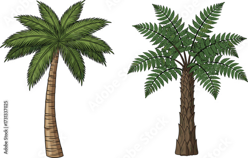 Palm tree illustration, tropical fern tree, exotic jungle plant drawing, summer vacation background, tropical nature design, isolated green tree artwork