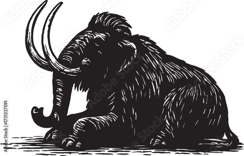 Detailed black and white illustration of a woolly mammoth sitting down with its tusks prominently displayed