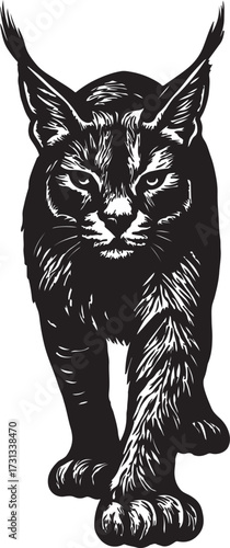Intense black and white woodcut illustration of a fierce lynx with tufted ears and piercing eyes staring forward
