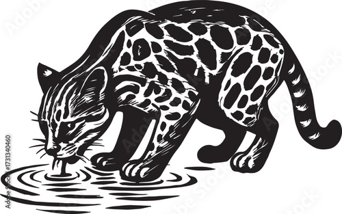 Detailed black and white illustration of an ocelot drinking water from a rippling pool in a natural setting