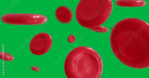 Animation of macro close up of red blood cells on transparent background