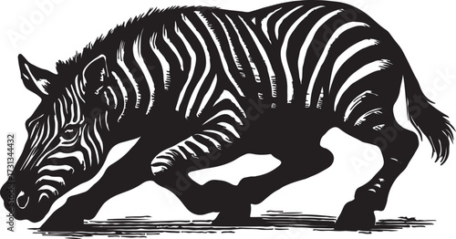 Striking black and white illustration of a zebra with its head down grazing in a dynamic pose