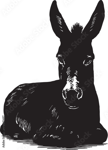 Silhouetted black donkey foal lying down with large ears facing forward on white background