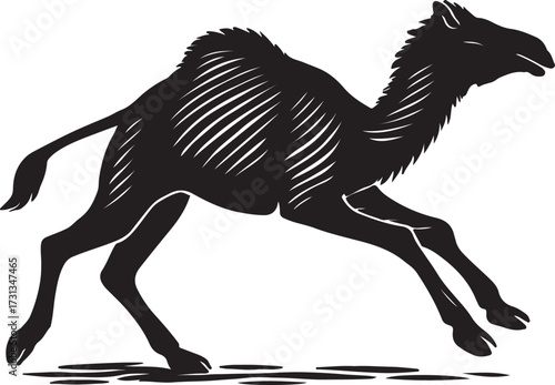 Black silhouette of a dromedary camel in motion against a white background with detailed hatching texture