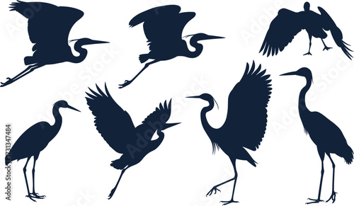 Collection of silhouettes of cranes, heron silhouettes, bird silhouette vector illustration