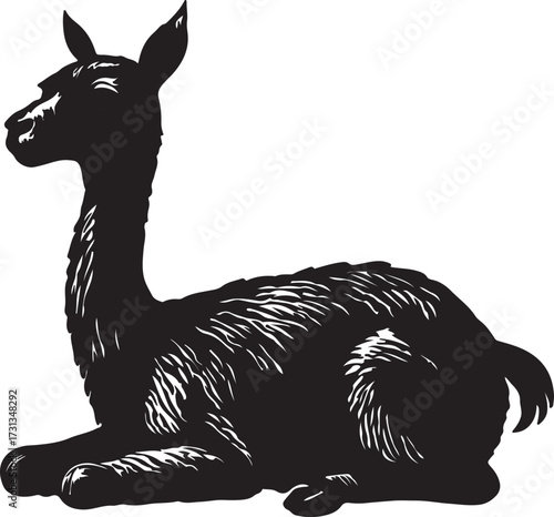 Black silhouette of a llama resting on a white background in a detailed engraving style