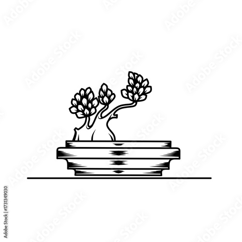 bonsai outline silhoutte