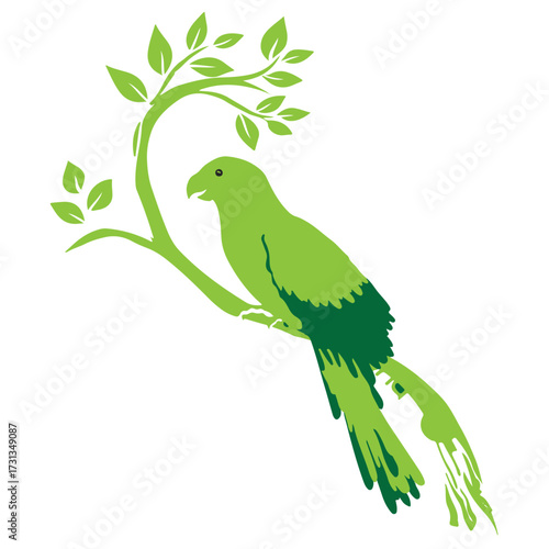 bird on tree, parrot on tree, tree, green
