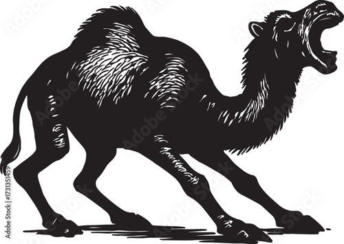 Dramatic black and white illustration of a dromedary camel with its mouth open in a roar or vocalization