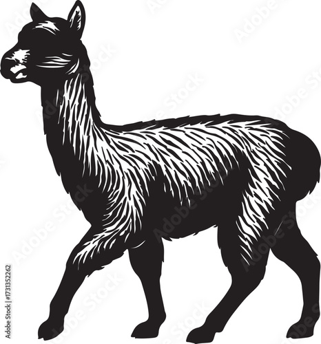Black and white illustration of a fluffy alpaca walking with its head turned to the left side
