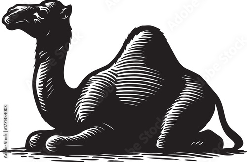 Stylized black and white woodcut illustration of a dromedary camel sitting down with a textured graphic art style
