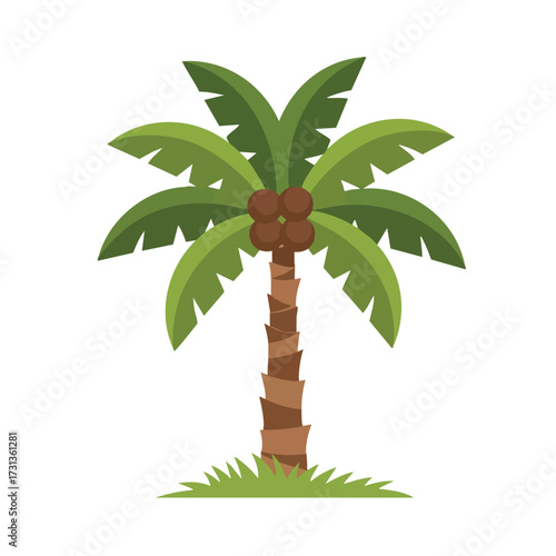Stylized Palm Tree with Coconuts and Green Grass Illustration