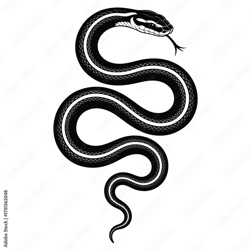 Obraz premium black and white snake