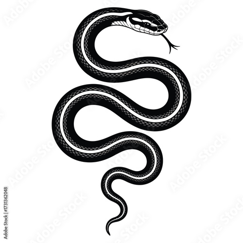 black and white snake