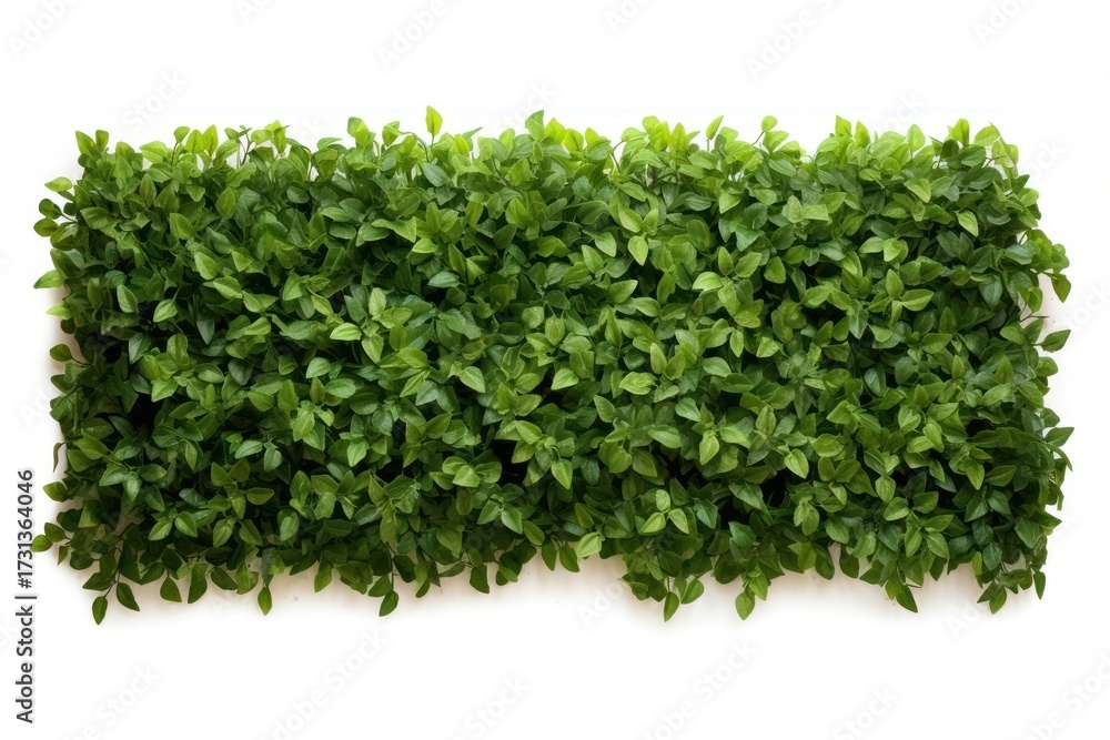 Fototapeta premium Flat green tree wall hedge plant herbs leaf.