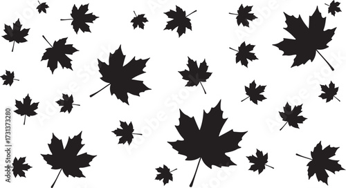 Illustration of scattered black maple leaves isolated on white background