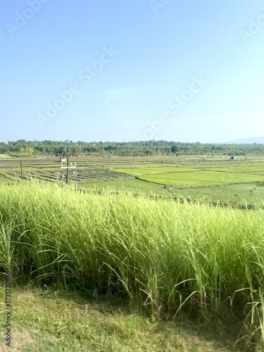 Looking out the window of a moving train. View of rice fields, rural houses and a clear blue sky.