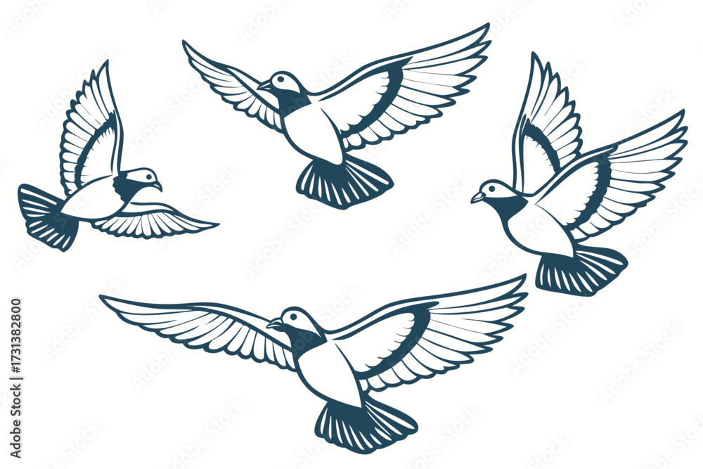 Fototapeta premium set of dove