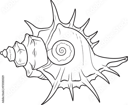Line Art Drawing of a Spiky Seashell on White Background