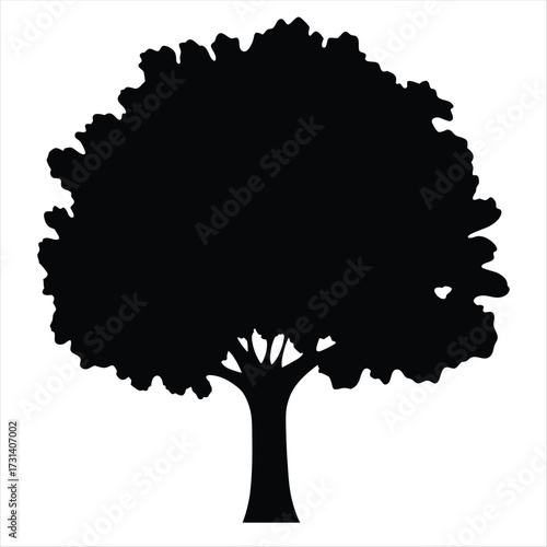 Black silhouette of a deciduous tree vector