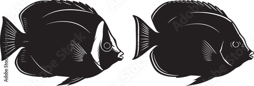 Two angelfish facing each other silhouette