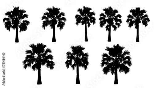 Silhouette Illustration of a Palmetto Tree

