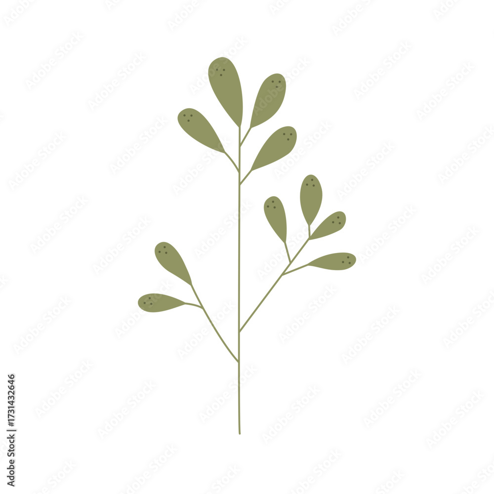 Fototapeta premium Elegant Floral and Botanical Illustration