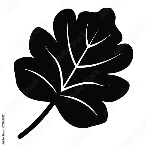 Simple black and white leaf vector illustration with defined venation