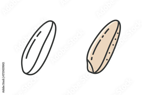 Grain Illustration, Two Rice Seed Isolated on White Background