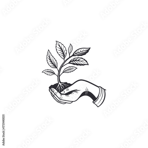 Hand holding plant logo 