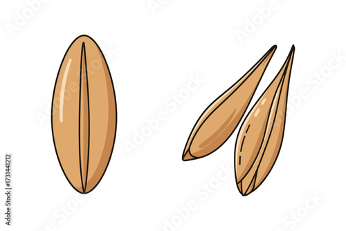 Oat Seed Grain Isolated on White Background Cartoon Vector Illustration