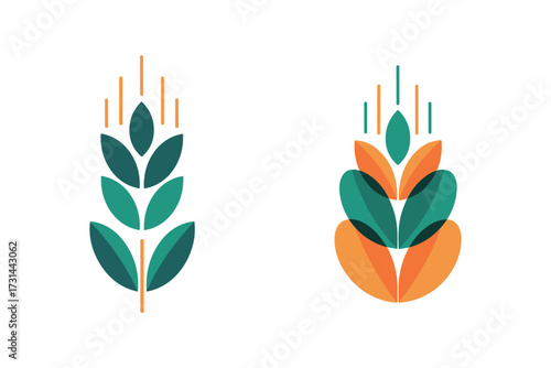 Wheat grain icons, organic farm plant, green and orange ear design.