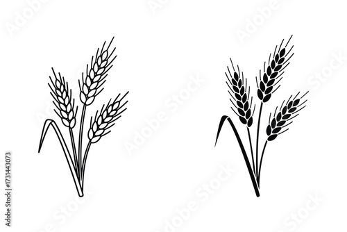 Wheat Ears Silhouette Vector Illustration in Black and White Style