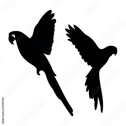 Two silhouetted macaws in flight against a white background