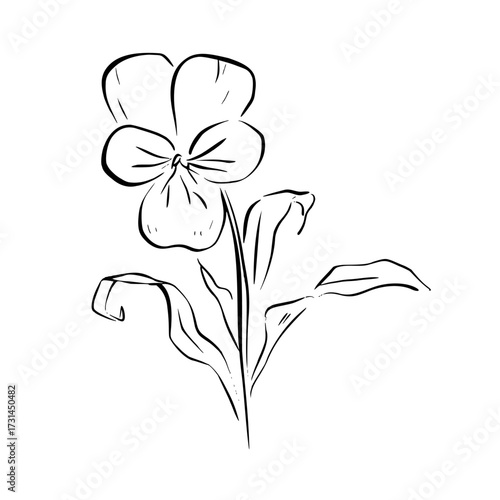 Pansy flower with stem and delicate leaves. Quickly sketch vector illustration. Great for vintage floral design, romantic stationery, invitations, gardening art, book romance and botanical decor
