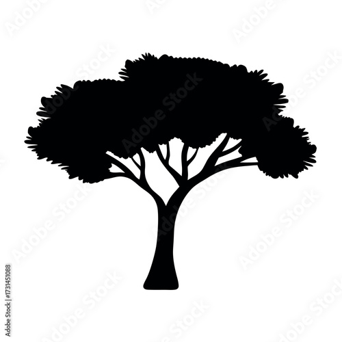 Silhouette of a broad leafy tree with a thick trunk and spreading branches