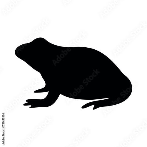 A silhouette of a frog in a crouching position on a white background
