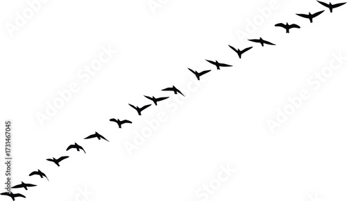 A graceful flock of birds in flight, forming a diagonal line against an isolated on white background, symbolizing migration, unity, and the beauty of nature