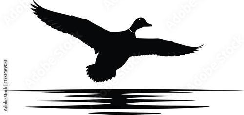 Silhouette of a mallard duck flying over water isolated on white background graceful waterfowl in flight, creating a serene and minimalist nature scene