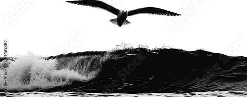 Monochrome wave crashing with seagull flying above isolated on white background, capturing the power of nature and freedom of birds in flight