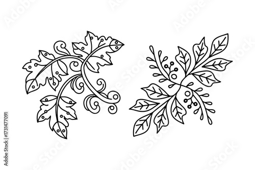 Leaf Ornament Outline Decorative Floral Pattern Elegant Botanical Design Vector Illustration