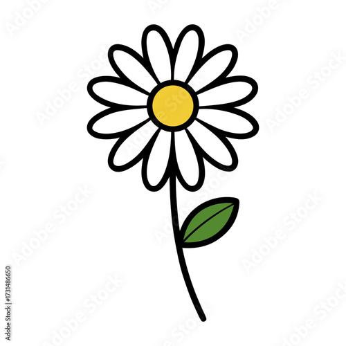 daisy flower vector illustration 