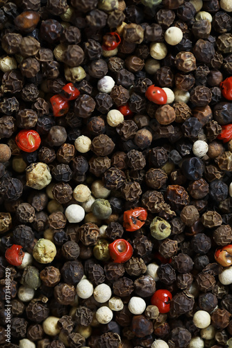 Canvas Print Assorted Peppercorns: Close-Up of Black, Red, White, and Green Spice Mix