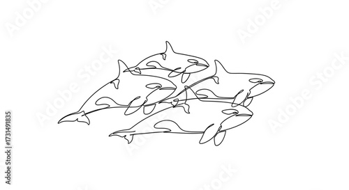 Pods of Orcas - Minimalist Line Art of a Group of Killer Whales Together