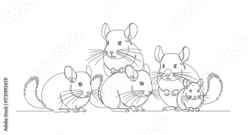 Adorable chinchilla family five fluffy rodents, hand-drawn illustration style