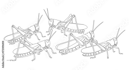 Gathering of Grasshoppers, Nature Interaction, Insect Biology, Illustrative Artwork, Natural Habitat, Close-Up Perspective, Wildlife Theme